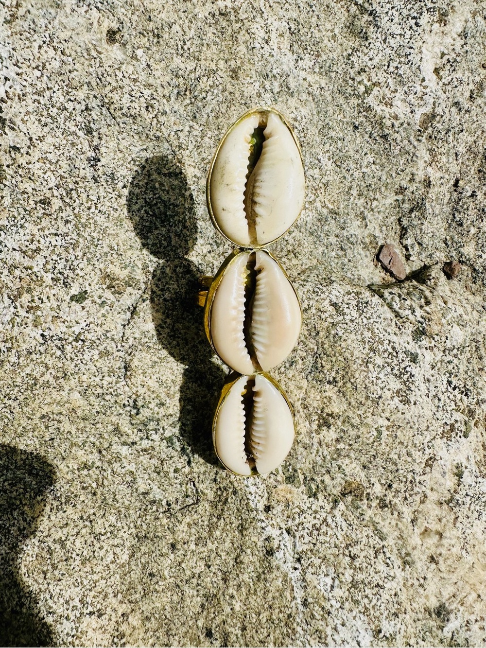 Cowrie Shell Triple Statement Ring in Natural Cream